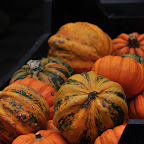 DSC_0724.jpg