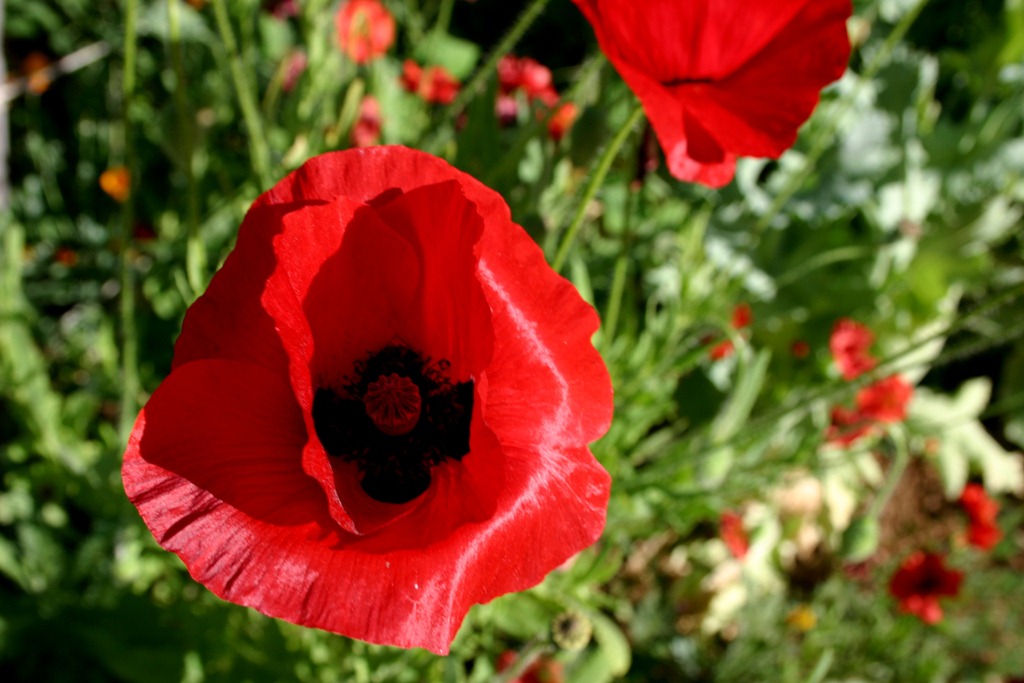 [IMG_1940%255B3%255D.jpg]