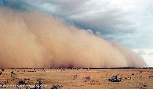 tempestade de areia desbaratinando  (9)