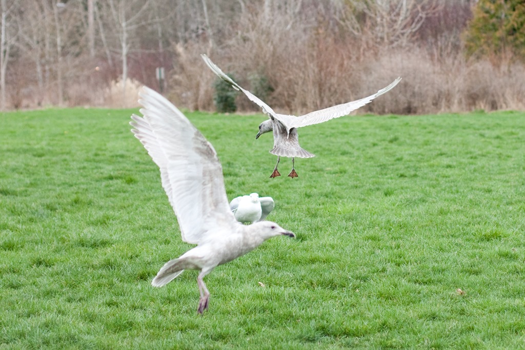 [20130305-IMG_6827-24.jpg]