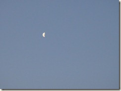 29-02-2012 (18) 29-02-2012 (18)