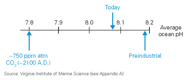 Change in ocean pH, preindustrial-2100 CE. NRDC / Virginia Institute of Marine Science