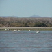 View album