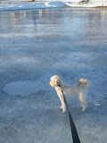 2012-01-04 15.08.00.jpg