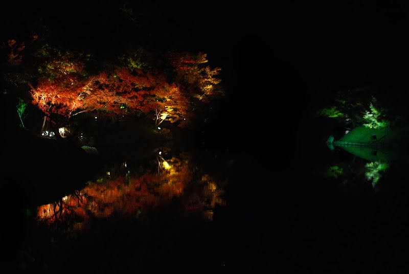 DSC_0427.JPG
