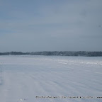 3-1-2010-066.jpg