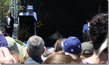 IMG_1483cropped IMG_1483cropped