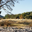 DSC09075.jpg