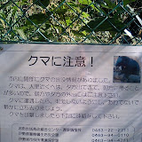 2007