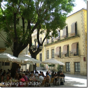 shady plaza in Jerez