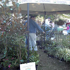 Digital StillCamera