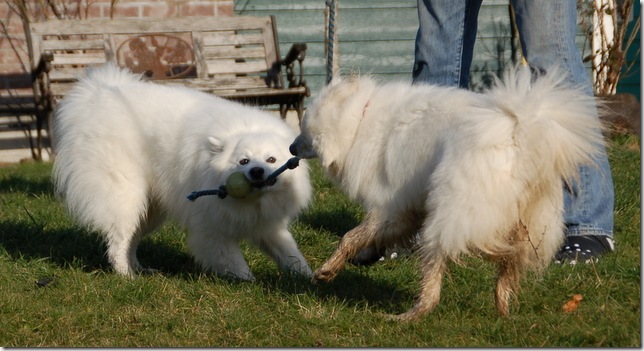 DSC_5041 DSC_5041