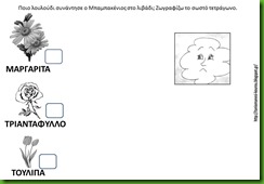ΜΠ11 ΜΠ11