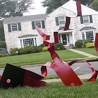 CIMG0907.JPG