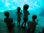 DSCN4041.JPG