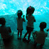 DSCN4041.JPG