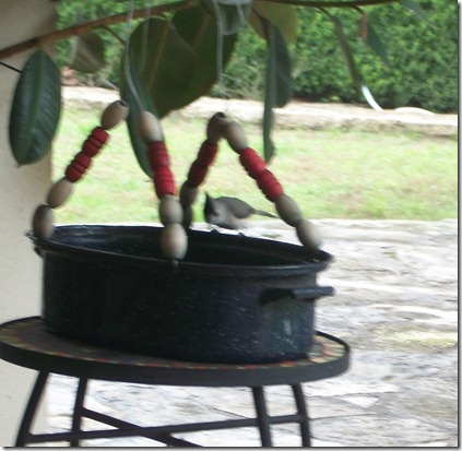 birdfeeder in the rain 017