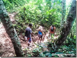 Sendero Carbuni - Cuba (2)