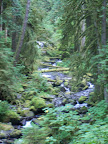 columbia_river_gorge