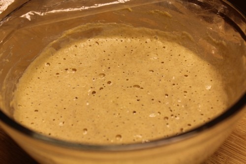 [einkorn-levain-Day301%255B5%255D.jpg]