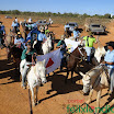 CavalgadaFelixlandia2011-066.jpg