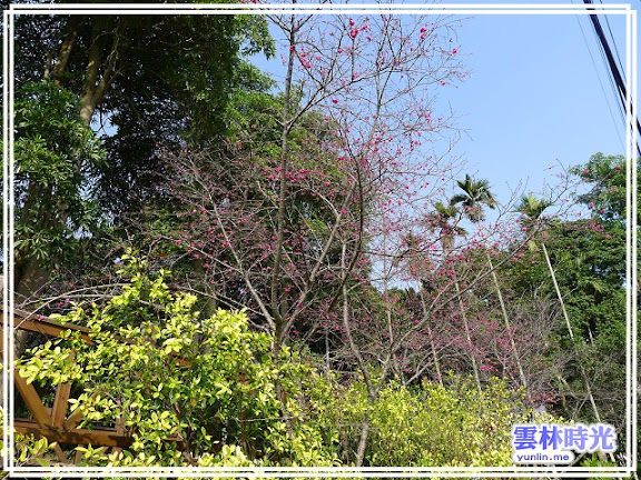 a005.jpg