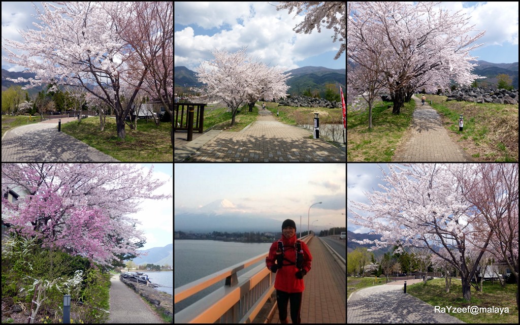 [201404246.jpg]