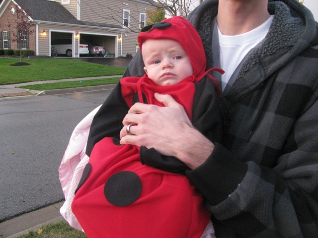 [IMG_3517%255B2%255D.jpg]