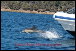 Cruise 050