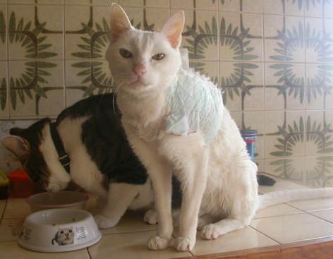 [DSCN8209%255B1%255D.jpg]