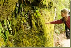Routeburn-24