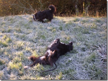 frost bath Mack