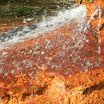 DSCN0270.JPG