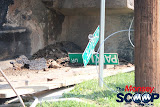 Overturned Truck On Paiken Drive In Spring Valley (Moshe Lichtenstein) - IMG_4443.JPG