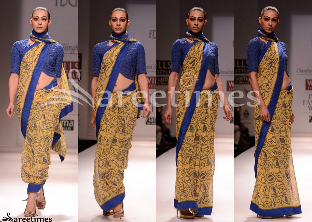 [Chitrangada_Singh_Flora_Sari%255B4%255D.jpg]