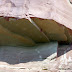 Zooming in some more, dino footprints.