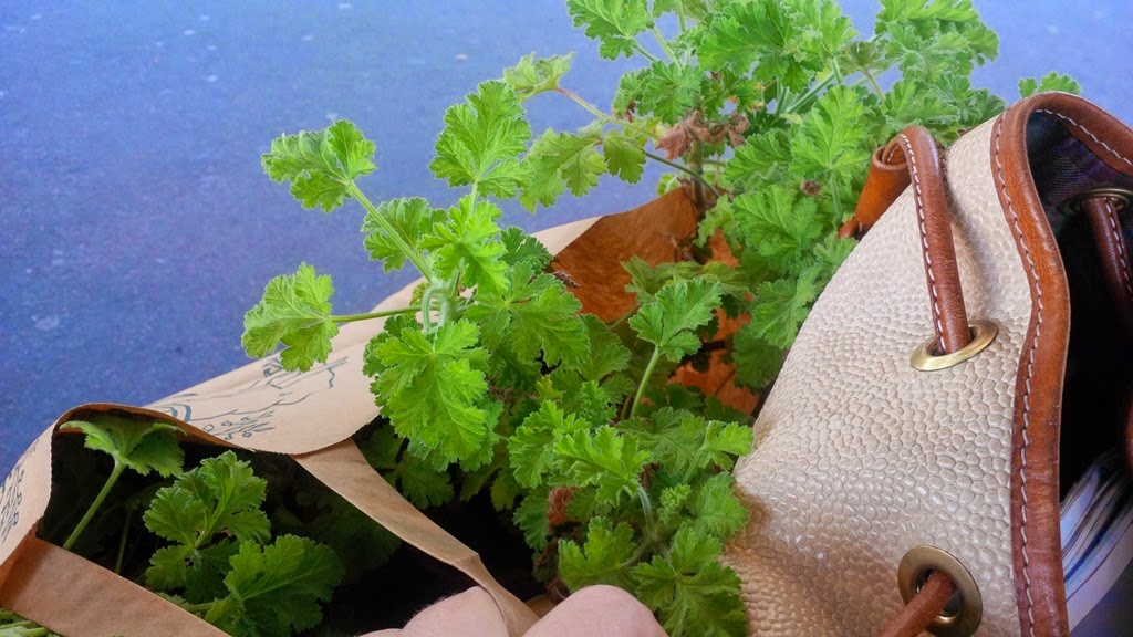 [IMG_20141004_173836%255B3%255D.jpg]