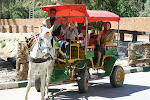 Tozeur Tunisia_2009.04.10 588.JPG