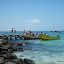tour-punta-choros-isla-damas