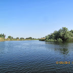 IMG_7811.JPG
