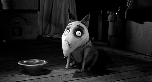 Frankenweenie new 02