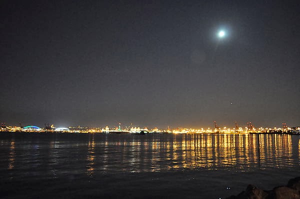 DSC_2783.JPG DSC_2783.JPG
