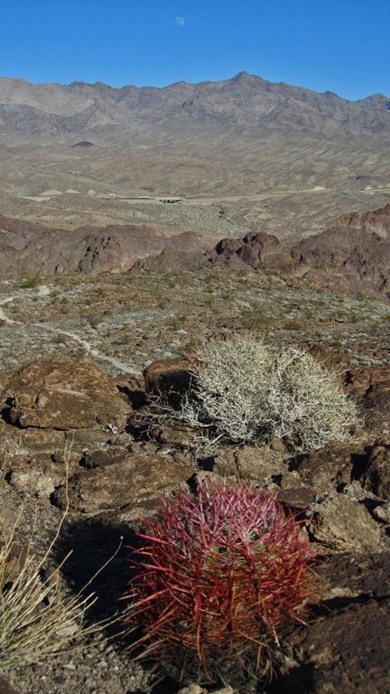 [Lake-Mead29-4-Feb-20126.jpg]