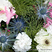 20080607_Flowers_0024.jpg