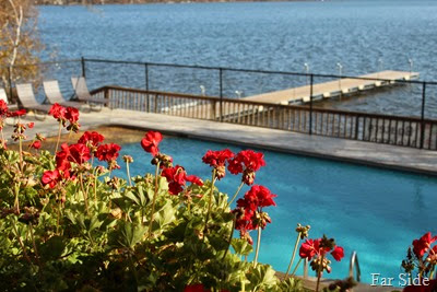 Flowers and pool and the lake