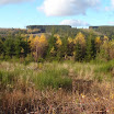PB110035.jpg
