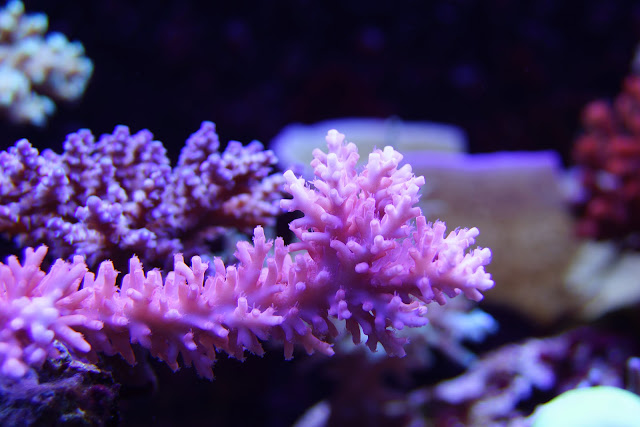 2012_%2525209_%2525202_%2525202_58.jpg