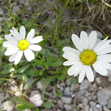 DSC05764.JPG
