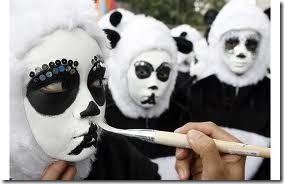 maquillaje de oso panda (10)