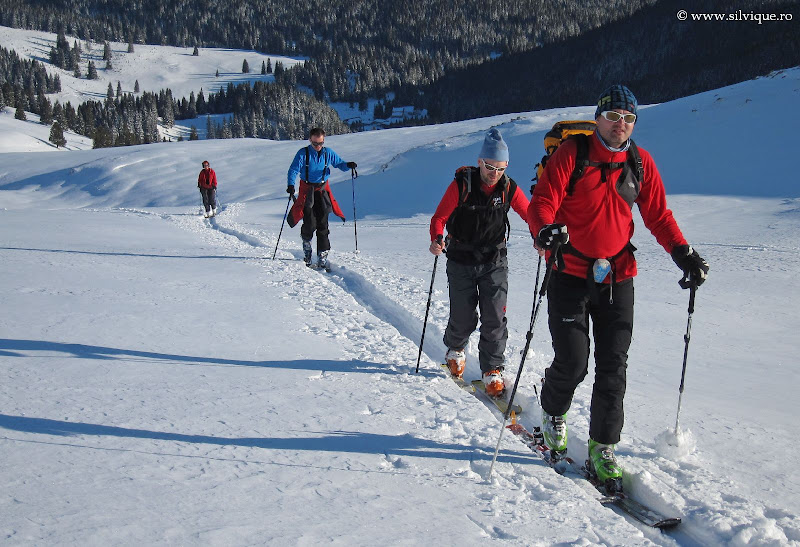 Schi de tura Sinaia-Moeciu